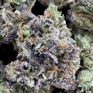 Godfather OG