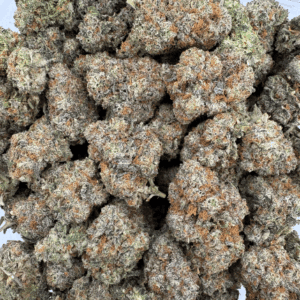 Black Truffle