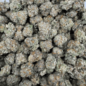 King’s Kush
