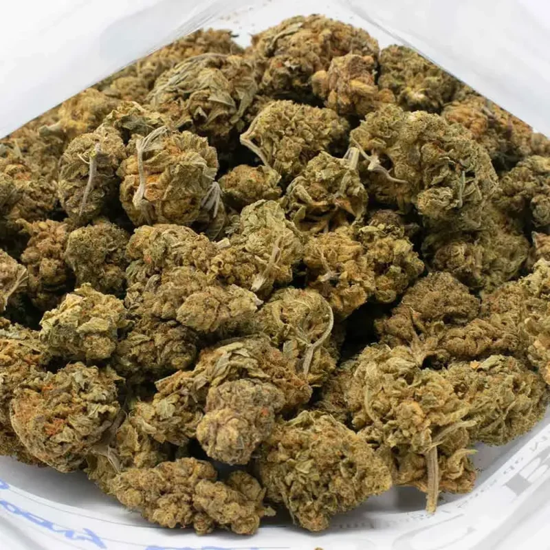King Louis XIII OG